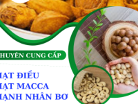 NÔNG SẢN DUY TRANG - NÂNG TẦM GIÁ TRỊ NÔNG SẢN VIỆT VỚI HẠT ĐIỀU, HẠNH NHÂN VÀ MACCA