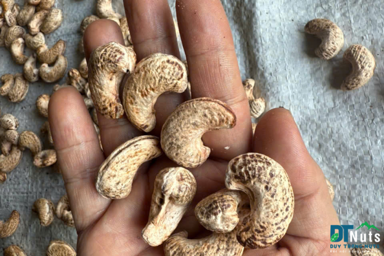 HẠT ĐIỀU LỤA